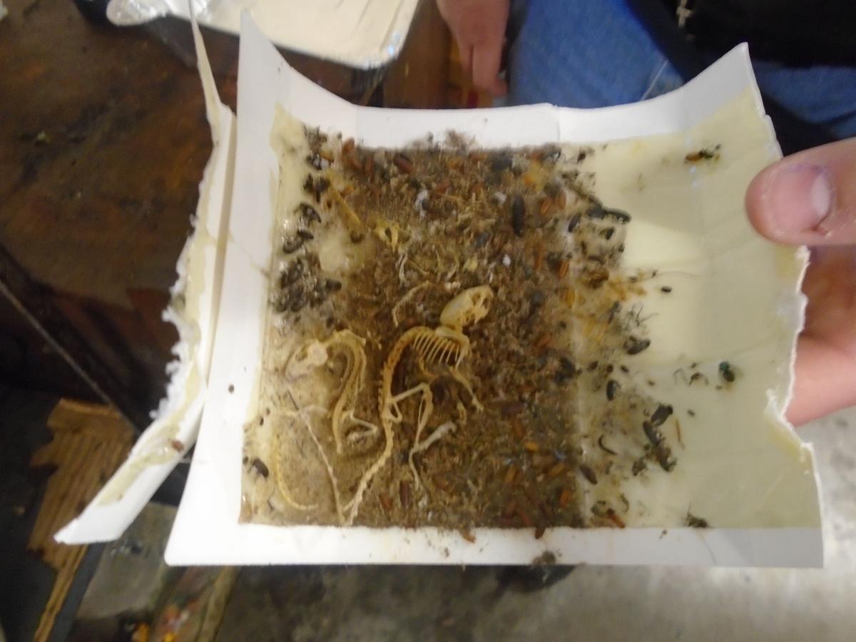 Moan's Oriental Market - online