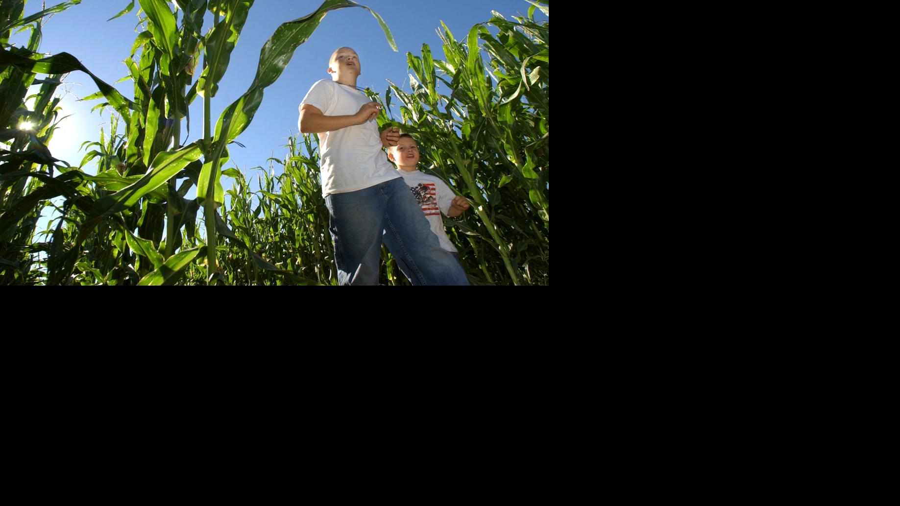 Buckelew's Pumpkin Festival and Corn Maze and Terror in the Corn