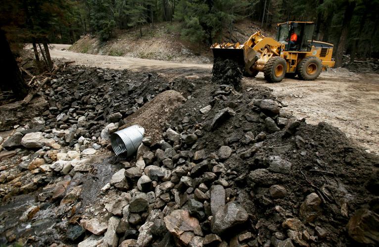 Frye Fire recovery on Mt. Graham