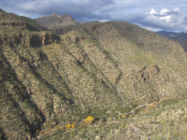 Sabino Canyon overview