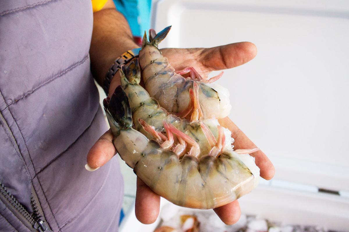 Rocky Point adventure! 10 things to do and eat by the beach eat