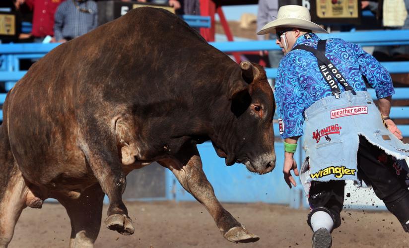 Tucson Rodeo