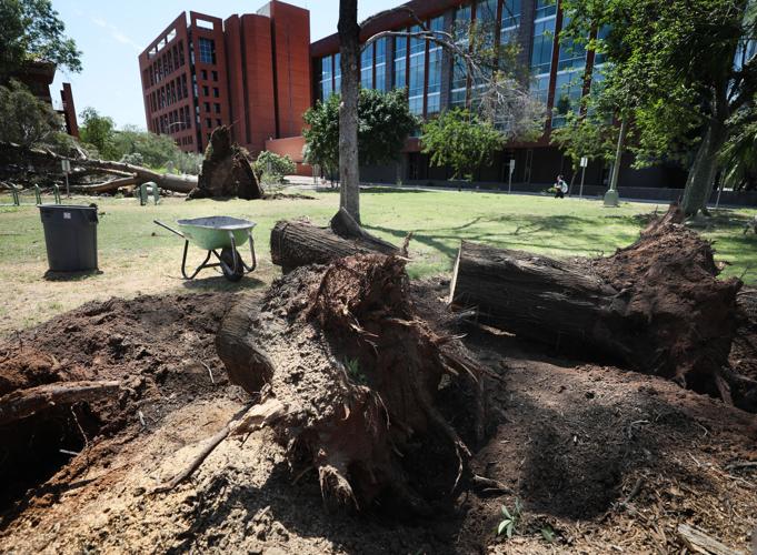Storm damage in Tucson