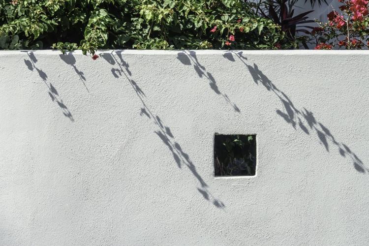 Masonry garden wall (copy)