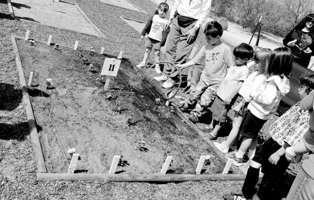 Cultivating a community  