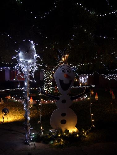 65th Annual Winterhaven Festival of Lights