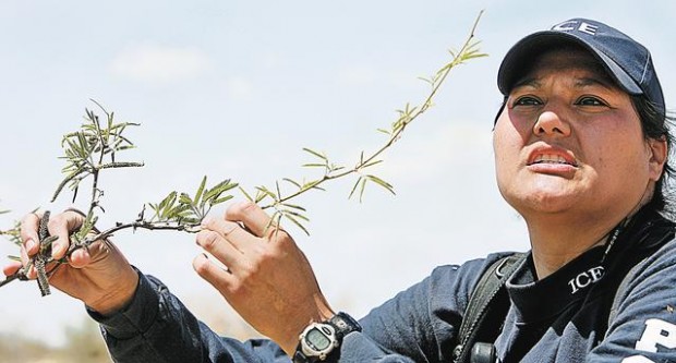 Elite American Indian tracking unit targets drug smugglers, narcotics  