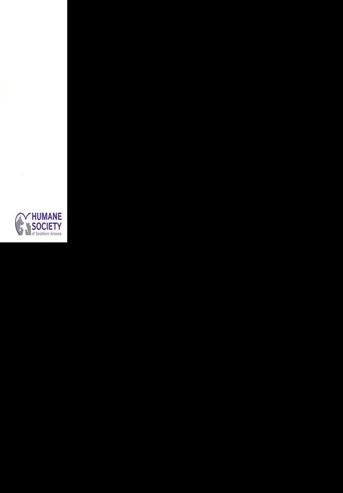 Adopt a friend: Hyalite