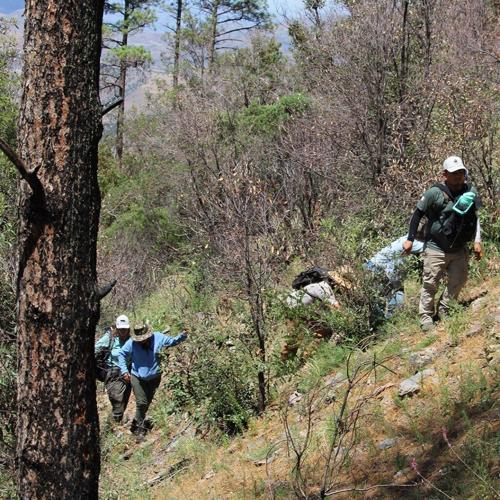 A New Stage for Spring Monitoring in APFF Bavispe