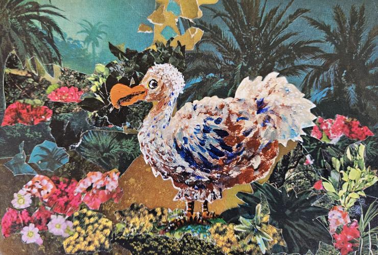 Remember-the-Dodo-Bird.jpg