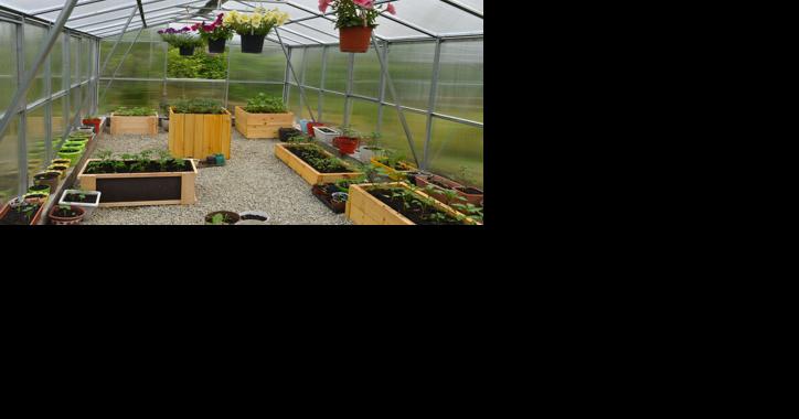 Greenhouses in the desert: Are they useful?