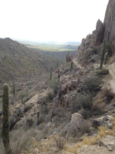 canyon