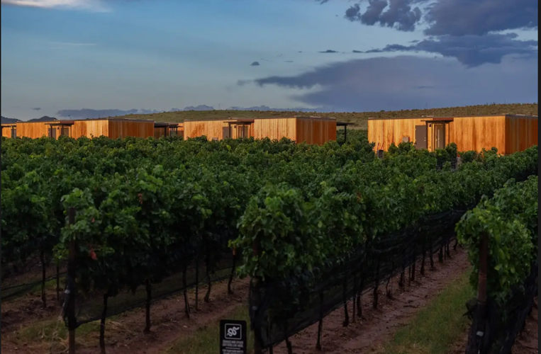 This Southeast Arizona vineyard now offers overnight stays