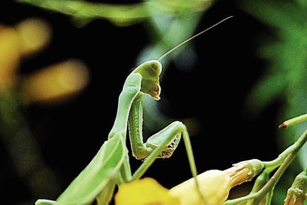 'Anywhere I go, I bring my camera'  