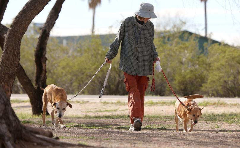 walk dogs, foster animal