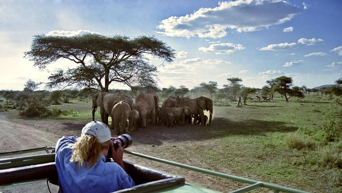 2026 has seen the largest increase in interest in solo travel ever, with 1.6 million searches of“ solo travel” during the month of January alone, according to The Luxury Solo Travel Report just issued by safari company Go2Africa.