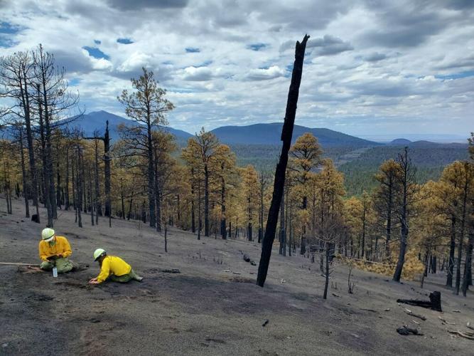 Fire officials bracing for wild wildfire season