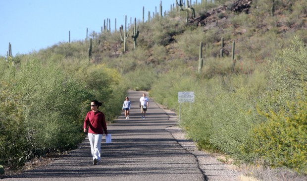 Tumamoc Hill research