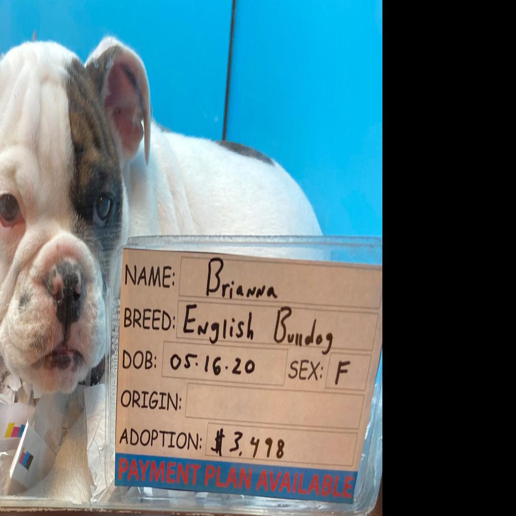 New Pet Store At Marana Mall Under Investigation Local News Tucson Com