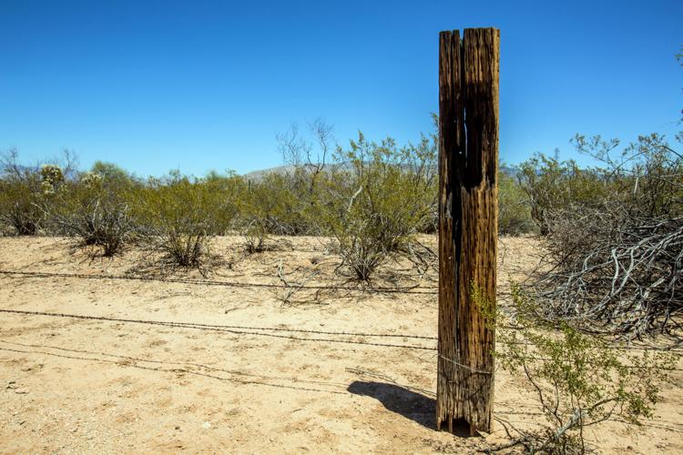 Esmond Station Regional Park