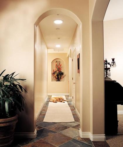 Spotlight on new skylights  