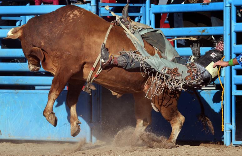 Tucson Rodeo