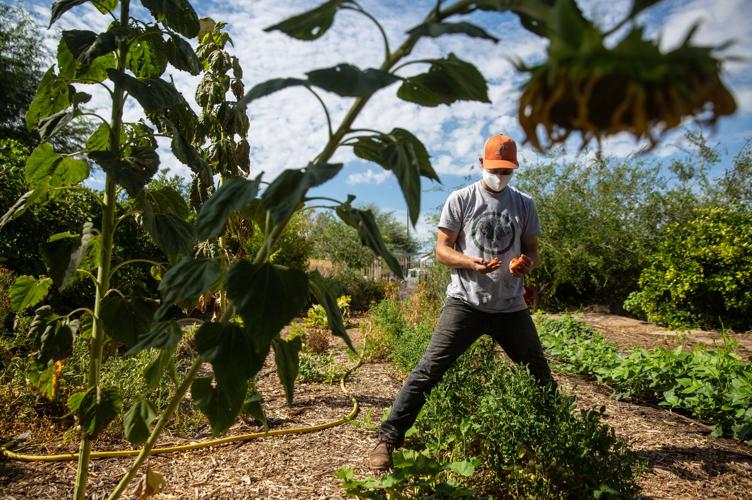 THMS Community Garden