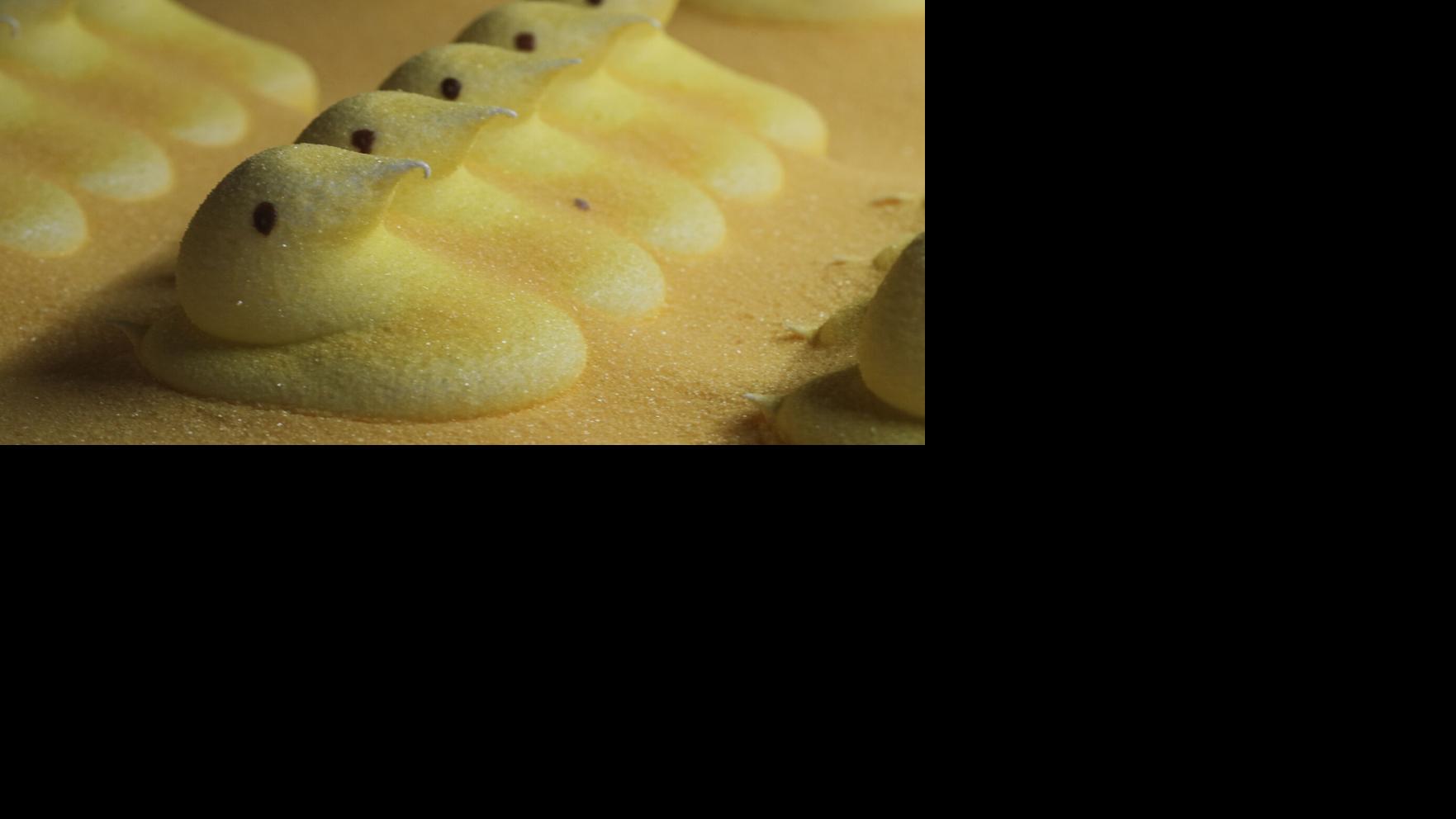 Former Arizona governor admitted to partaking in Peep jousting