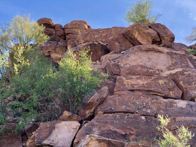 Picture Rocks petroglyphs