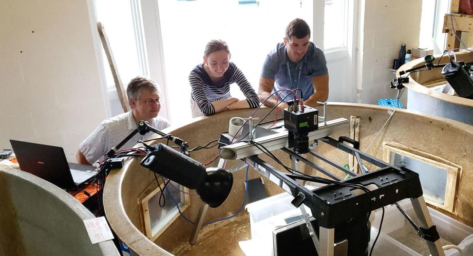 Cuttlefish 3D glasses