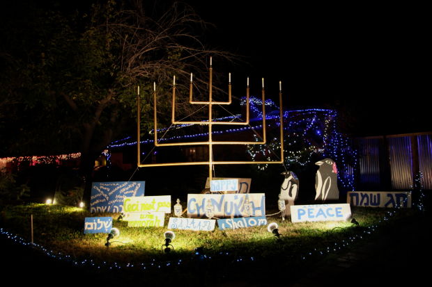 Winterhaven Festival of Lights 2013