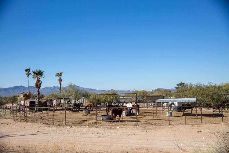 Westward Look Resort, expansion