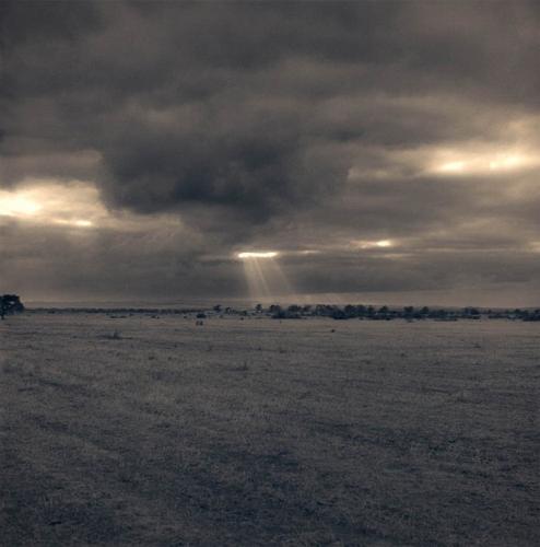 'Slow Light' illuminatesphoto art   