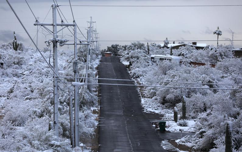A bunch of photos of today's snow across Tucson ️💕 tucson life