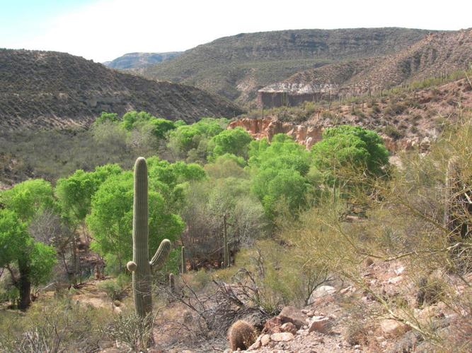 View of the nearby Aravaipa Canyon Wilderness area