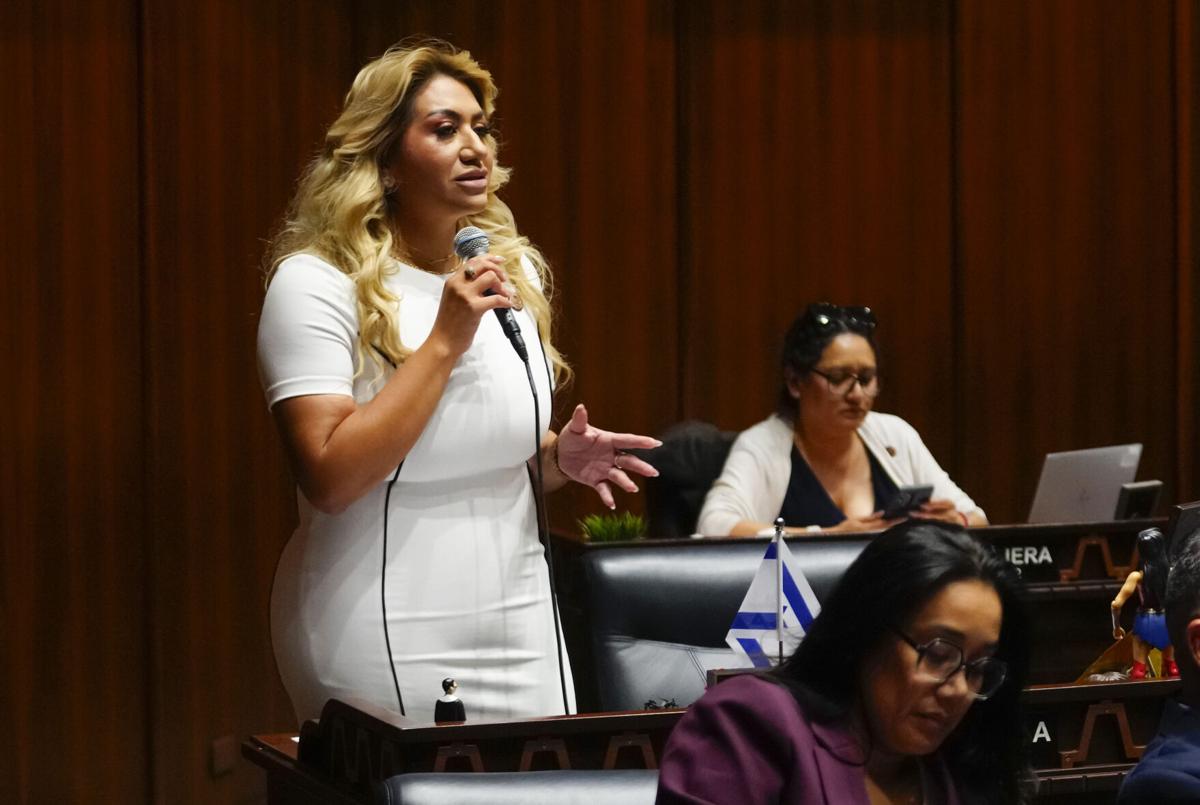 Rep. Hernandez embraces term limits despite Democratic criticism