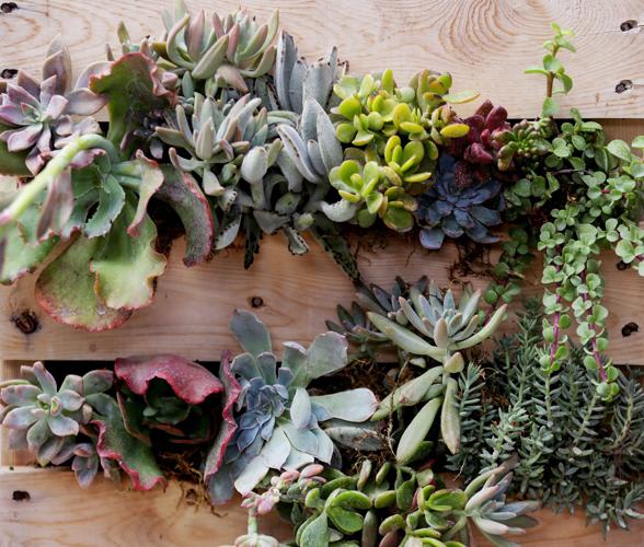 Pallet-making class at Green Things