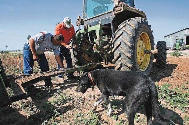 Buckelew land will benefit wildlife  
