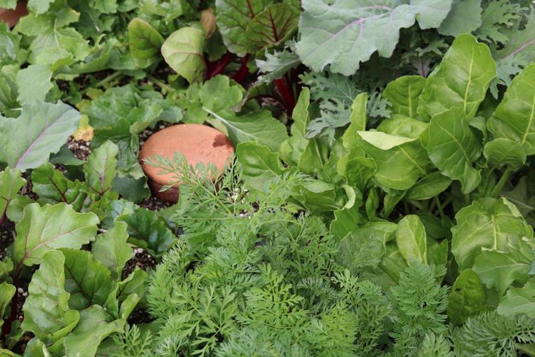 031019-hl-sustainable