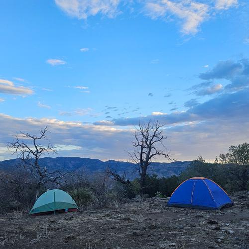Our First Time Spring Seeking in Sierra San Diego