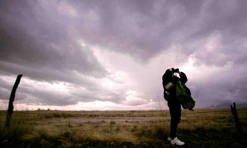 Sandhill cranes in Arizona