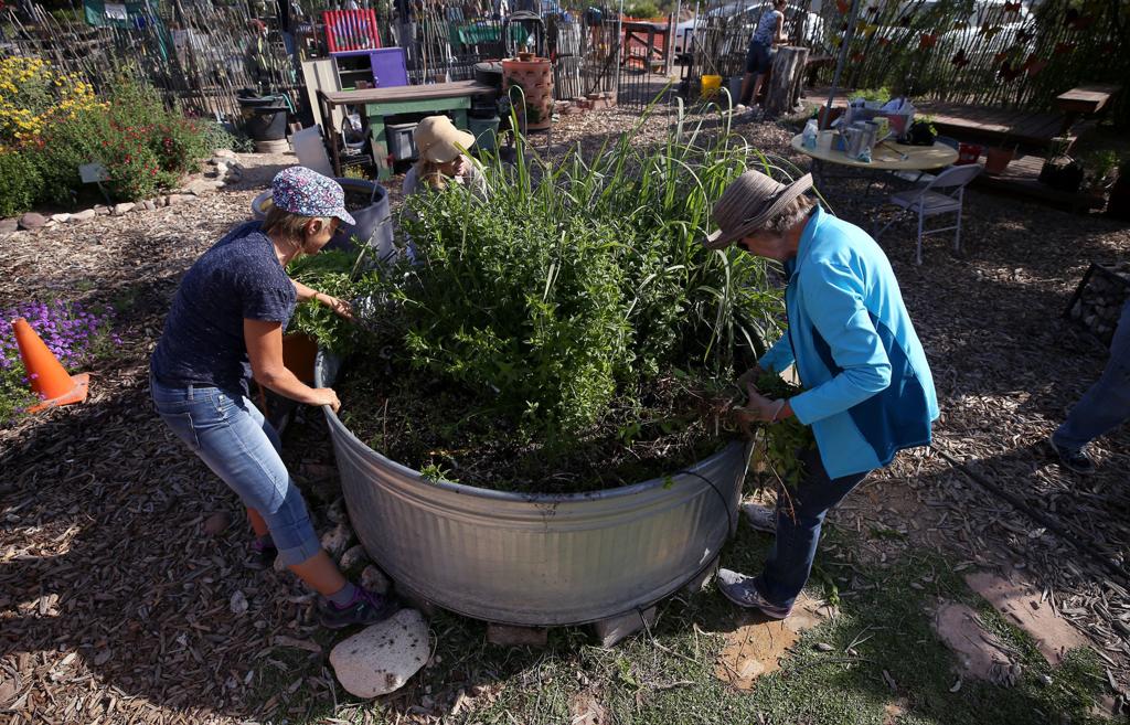Raised Garden Beds Phoenix Arizona Garden Design Ideas