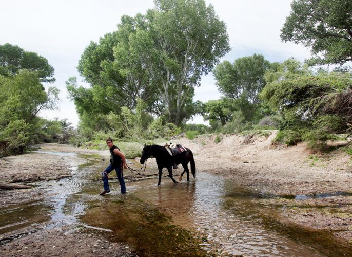 San Pedro River