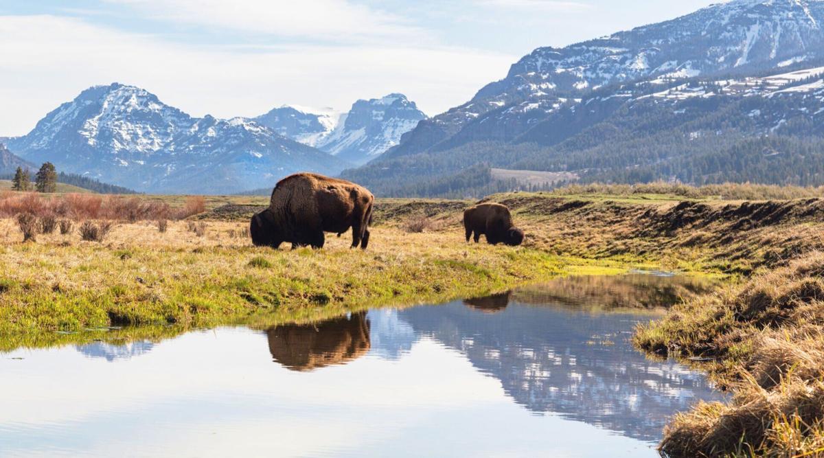 Creating a ‘pleasuring ground:' Federal act creating Yellowstone Park signed 150 years ago