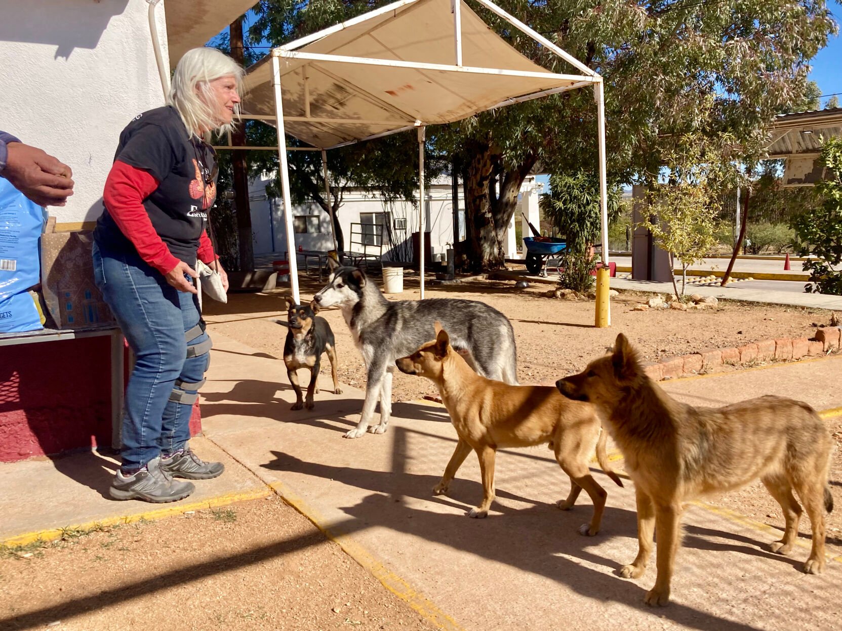 Animals in Sasabe, Sonora