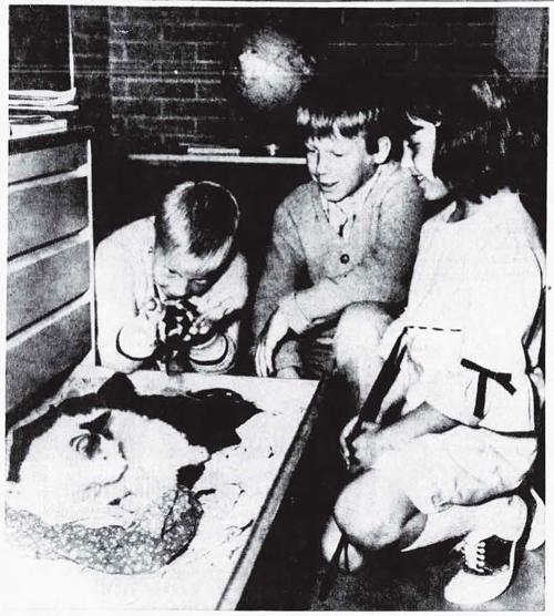 Lesson direct from nature