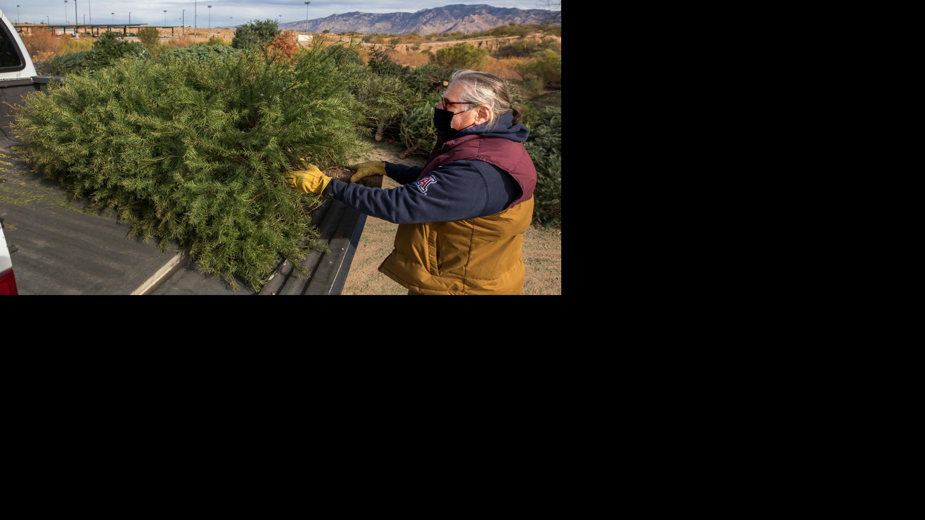 tucson-opens-christmas-tree-recycling-sites-environment-tucson