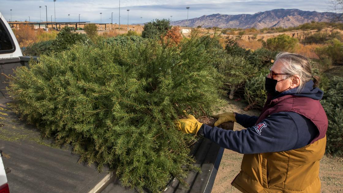 Tucson Opens Christmas Tree Recycling Sites Environment Tucson tucson-opens-christmas-tree-recycling-sites-environment-tucson