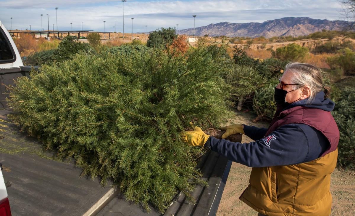 Tucson opens Christmas tree recycling sites