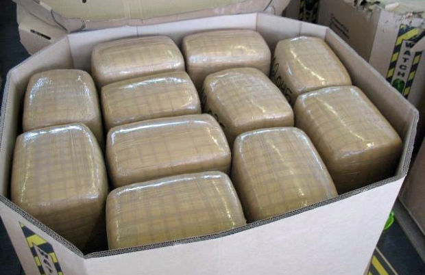 Drug dog sniffs out $4 million in pot at Nogales border